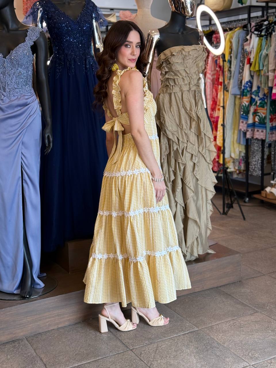 Sunny Meadow Gingham Dress