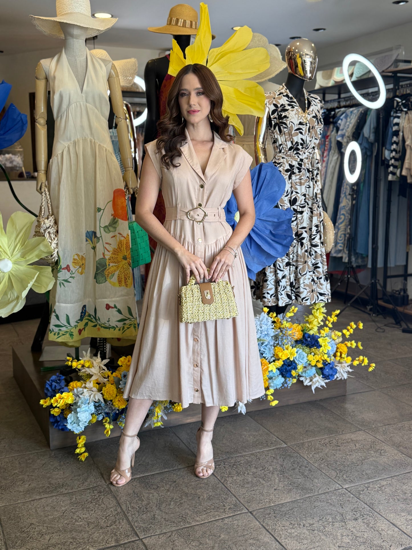 Soft Elegance Dress