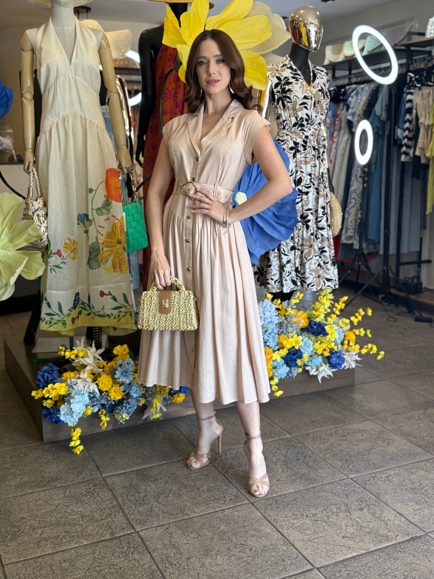 Soft Elegance Dress