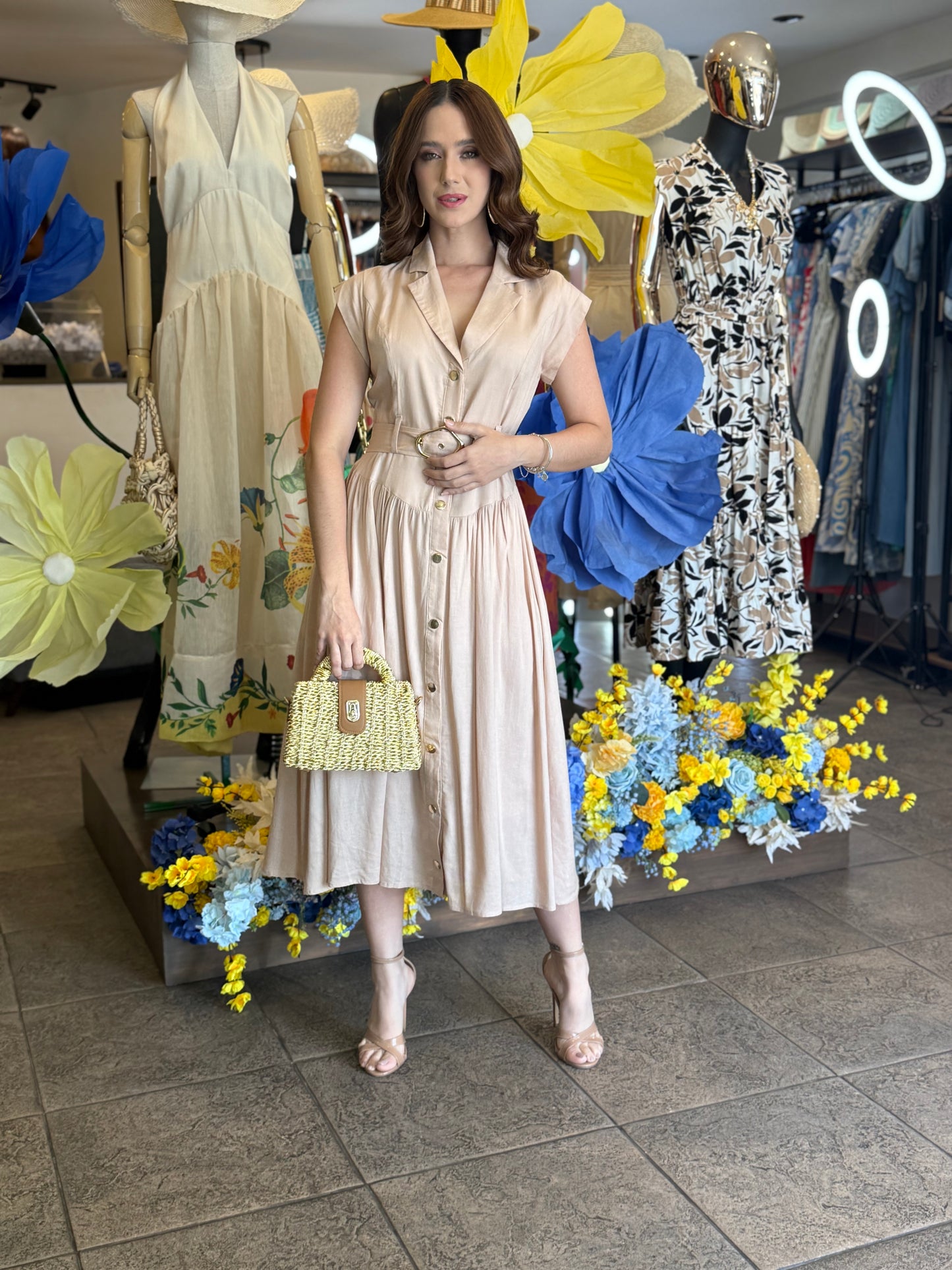 Soft Elegance Dress