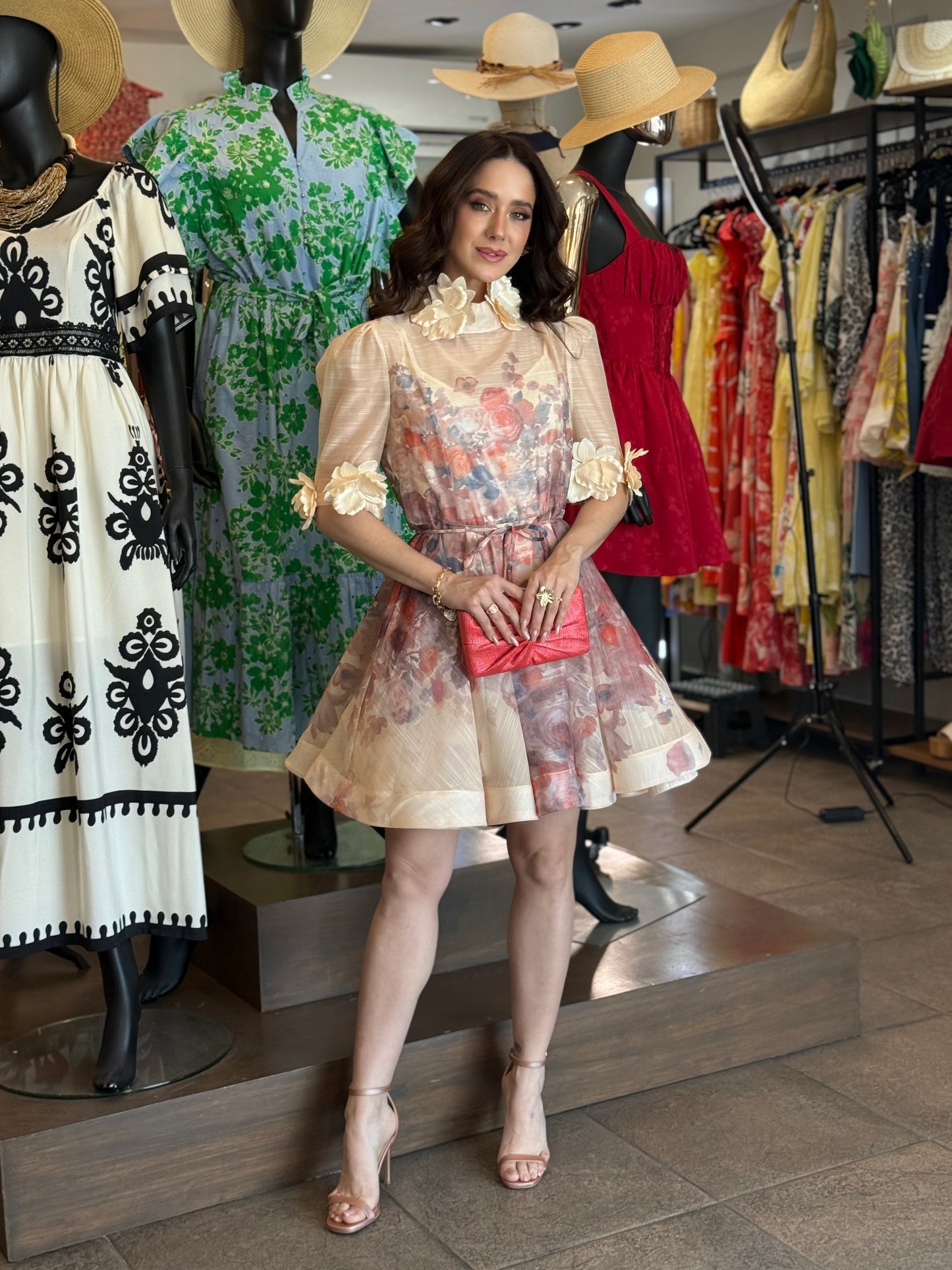 Ethereal Blossom Organza Dress