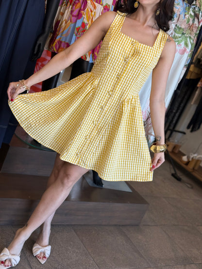 Sunny Picnic Mini Dress