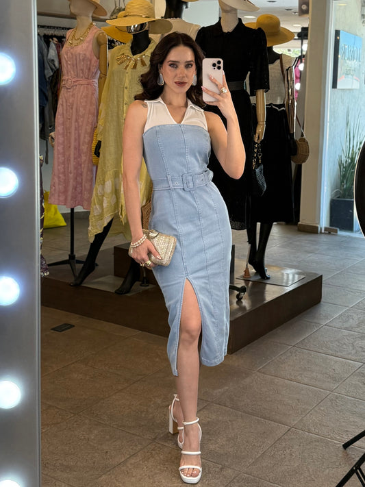 Skyline Denim Muse Dress