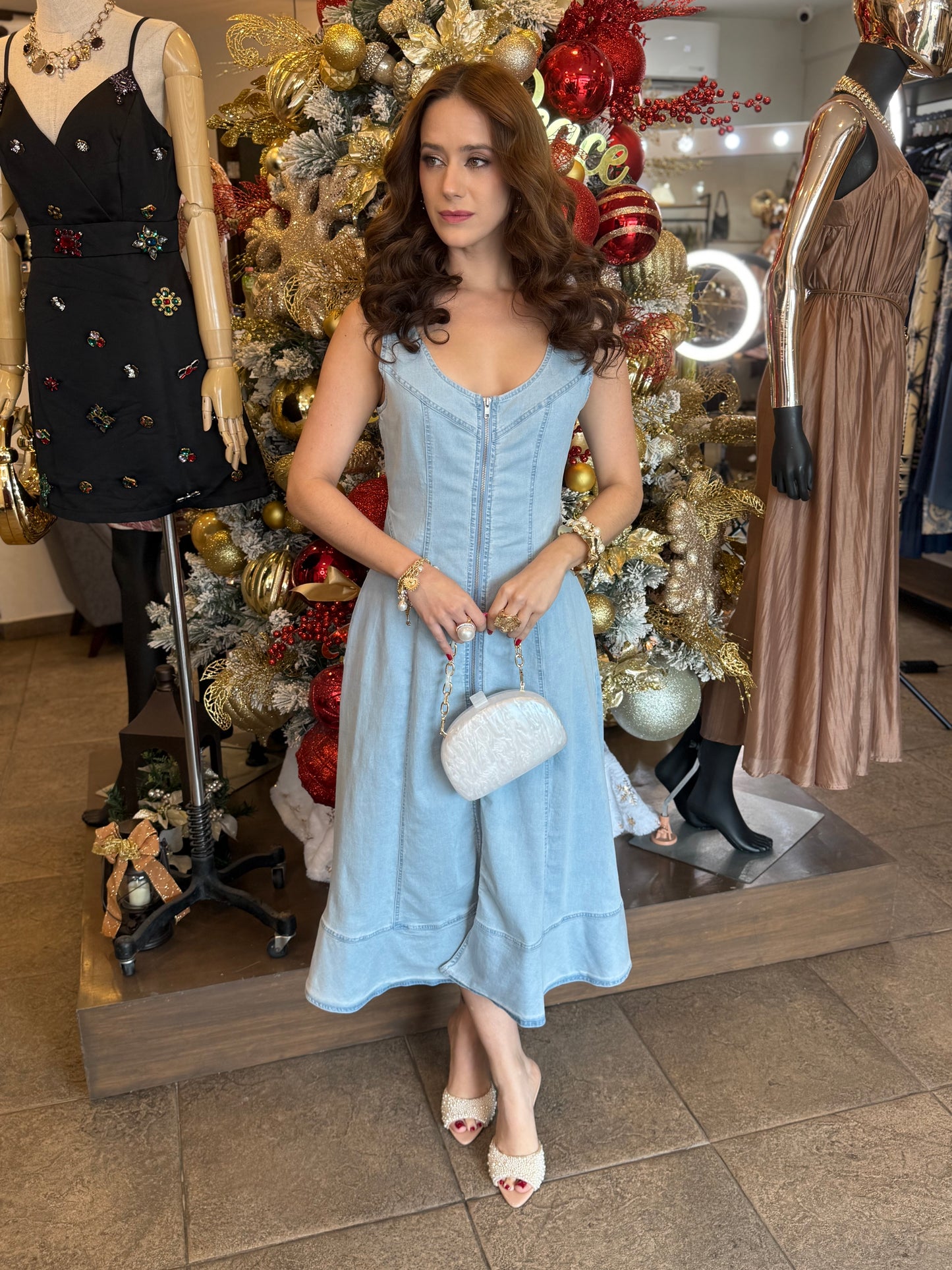 Skyline Denim Muse Dress